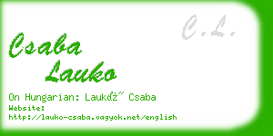 csaba lauko business card